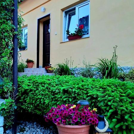 Willa Rekreacny Domcek Judka Dedinky Zewnętrze zdjęcie